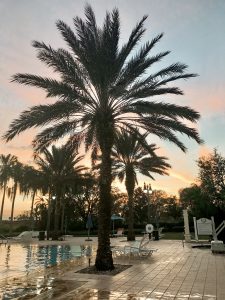 7 Eagles Pool & Hot Tub